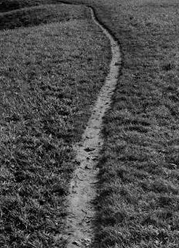 Ένα μονοπάτι σε αγρό
